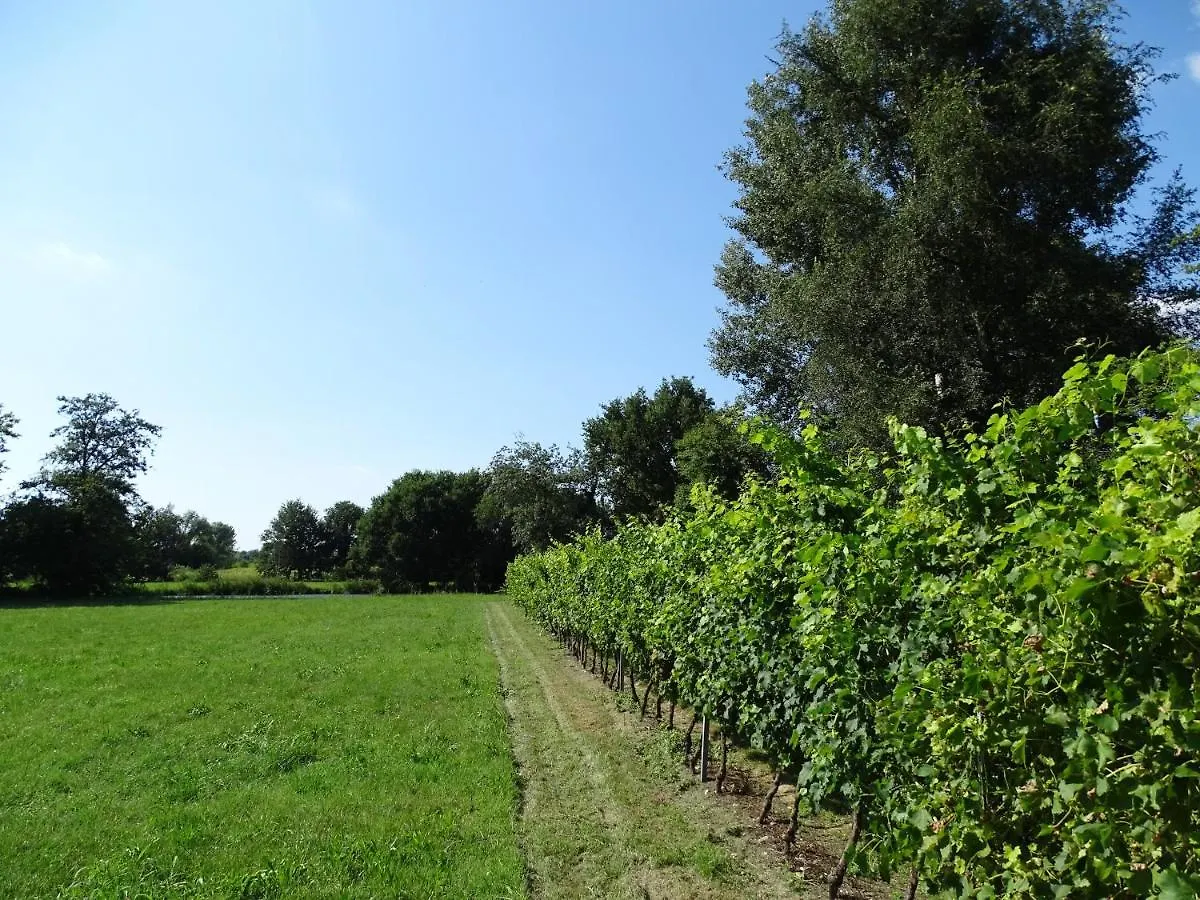 Corte Isolo Goito  0*, Goito (Lombardy) Italy