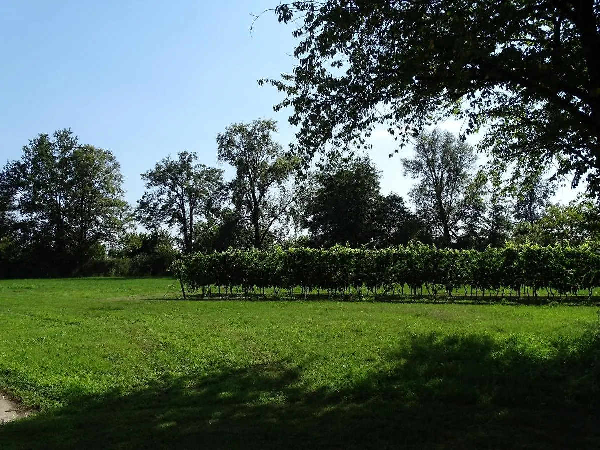 Farm stay Corte Isolo Goito  Italy
