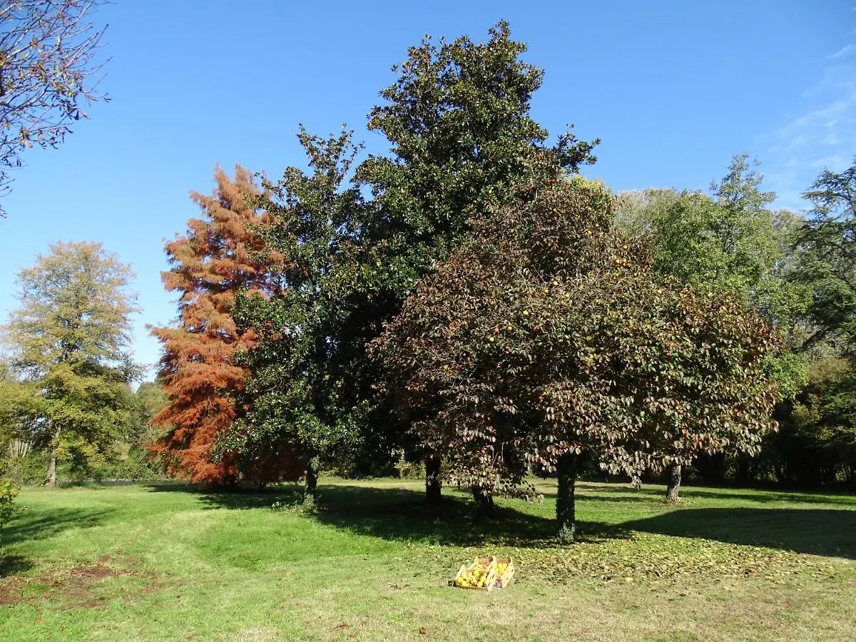 Farm stay Corte Isolo Goito