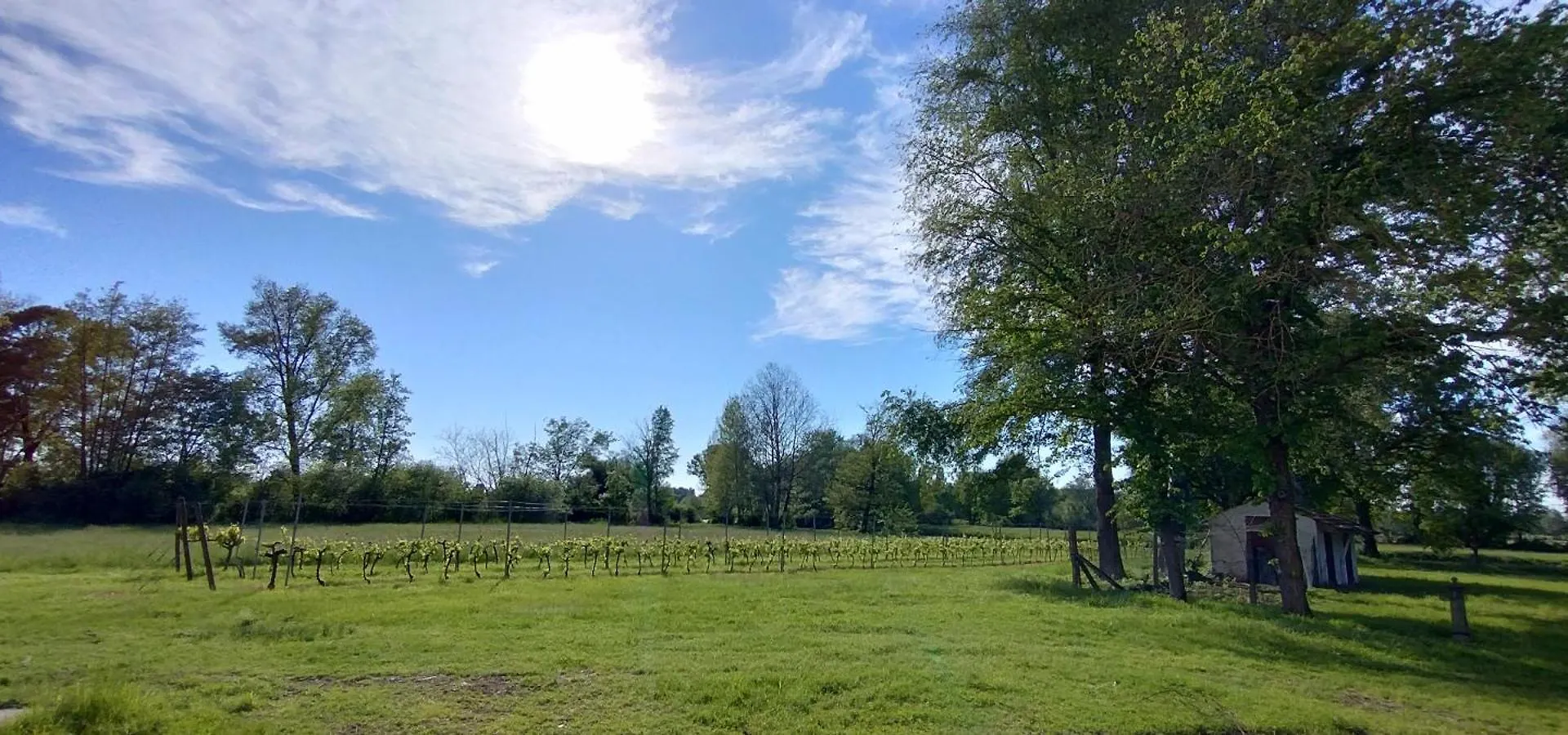 Farm stay Corte Isolo Goito  Italy