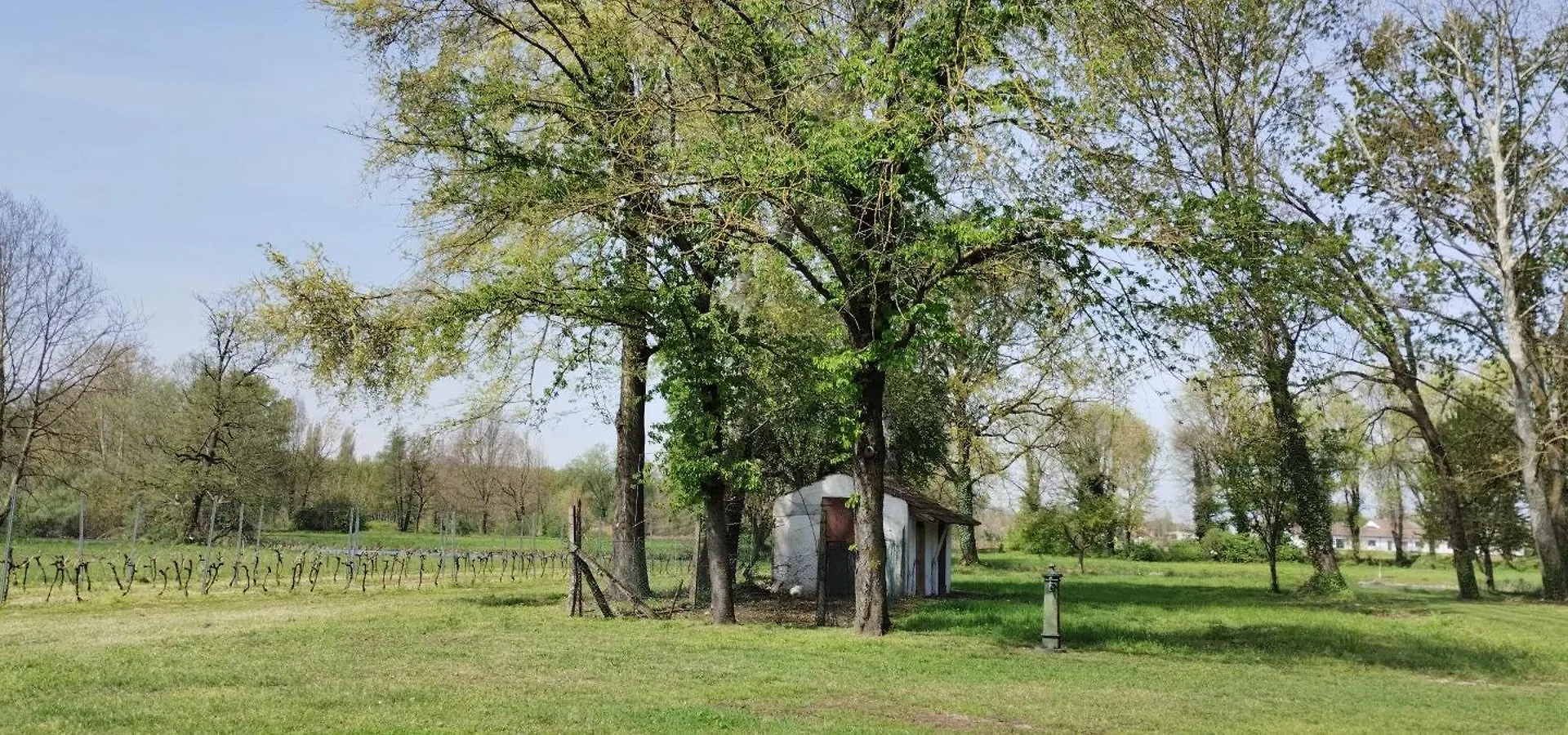 Corte Isolo Goito  0*, Goito (Lombardy)
